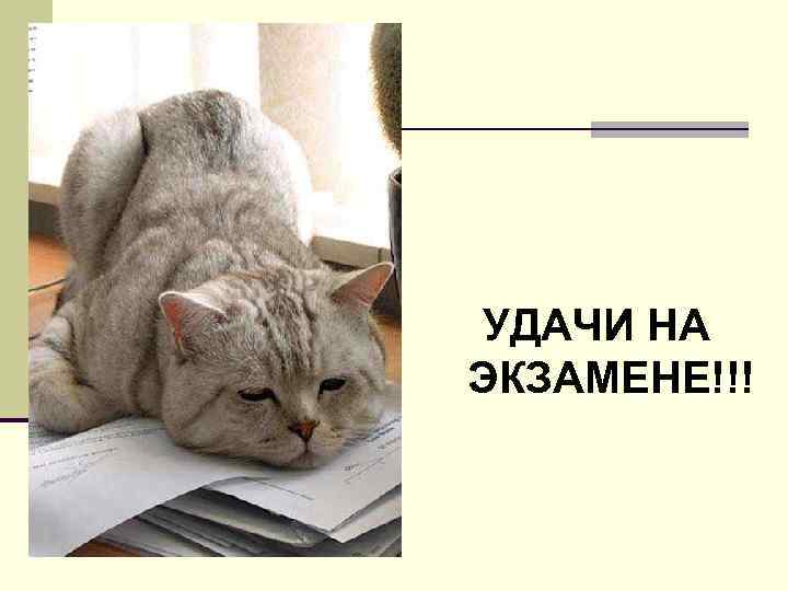 УДАЧИ НА ЭКЗАМЕНЕ!!! 