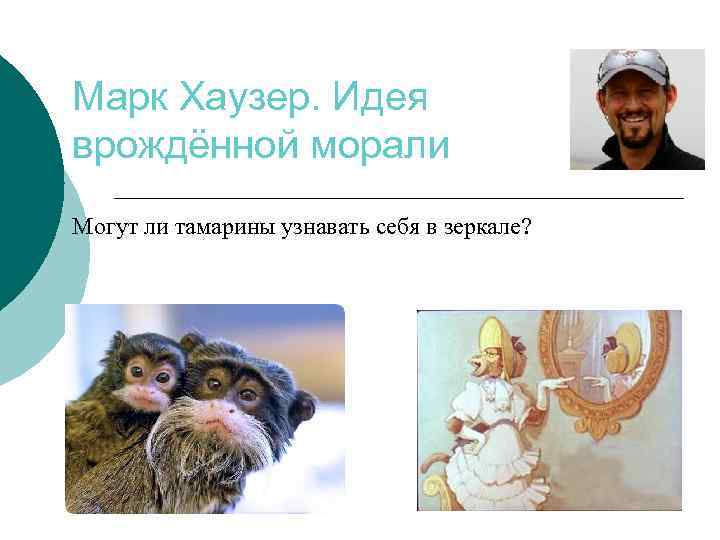 Марк Хаузер. Идея врождённой морали Могут ли тамарины узнавать себя в зеркале? 