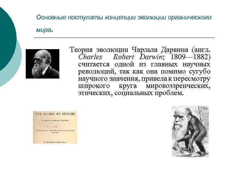 Основные постулаты концепции эволюции органического мира . Теория эволюции Чарльза Дарвина (англ. Charles Robert