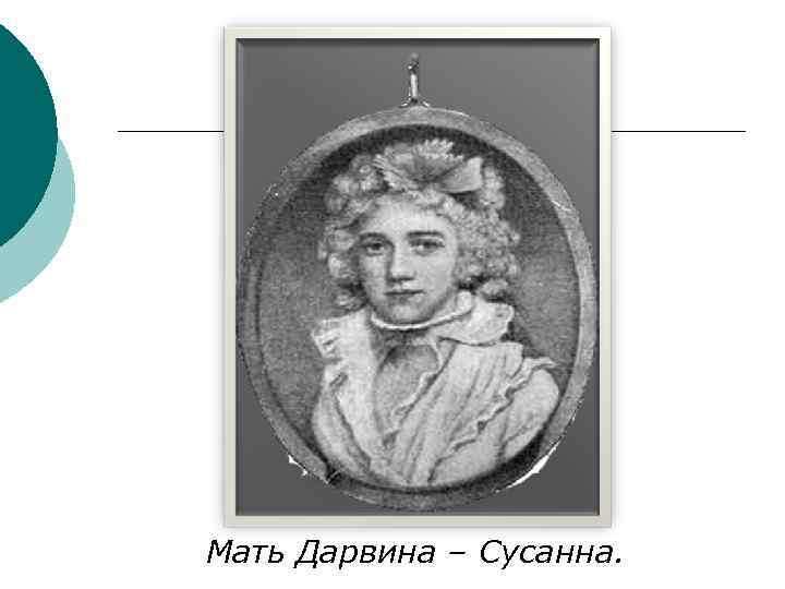 Мать Дарвина – Сусанна. 