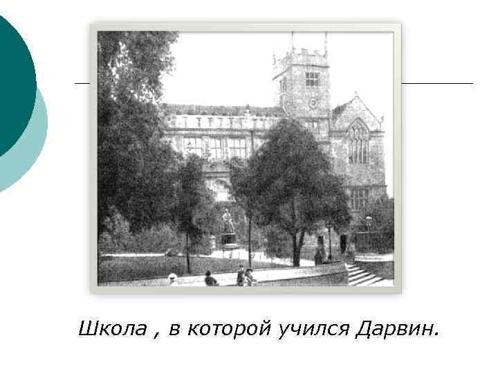 Школа , в которой учился Дарвин. 