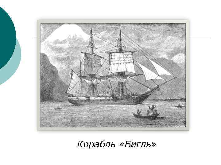 Корабль «Бигль» 