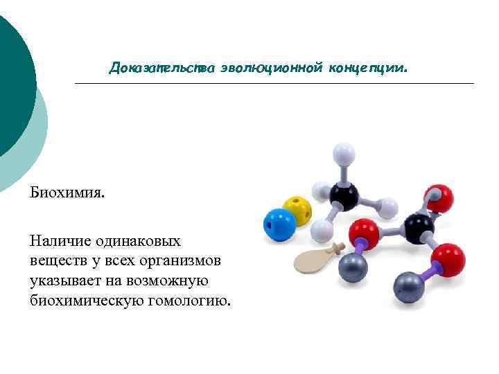 Доказательства эволюционной концепции Биохимия. Наличие одинаковых веществ у всех организмов указывает на возможную биохимическую