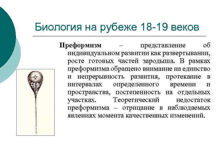 Биология на рубеже 18 -19 веков Преформизм – представление об индивидуальном развитии как развертывании,