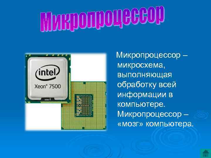 Микропроцессор – микросхема, выполняющая обработку всей информации в компьютере. Микропроцессор – «мозг» компьютера. 
