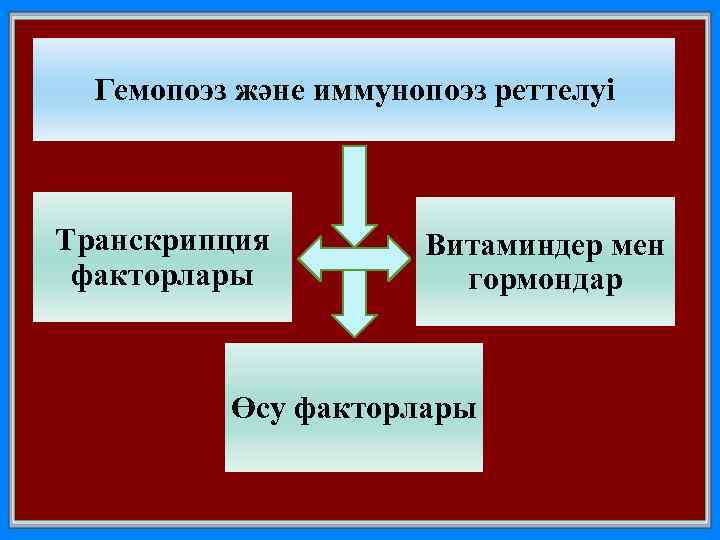 Гемопоэз және иммунопоэз реттелуі Транскрипция факторлары Витаминдер мен гормондар Өсу факторлары 