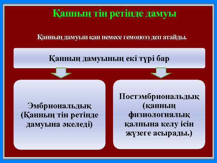 Қанның тін ретінде дамуы Қанның дамуын қан немесе гемопоэз деп атайды. Қанның дамуының екі