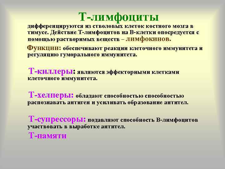 Т-лимфоциты дифференцируются из стволовых клеток костного мозга в тимусе. Действие Т-лимфоцитов на В-клетки опосредуется