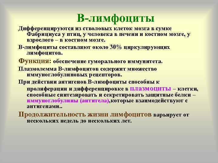 Картины мира научная наивная языковая и поэтическая как они дифференцируются