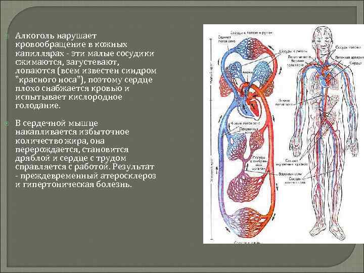  Алкоголь нарушает кровообращение в кожных капиллярах - эти малые сосудики сжимаются, загустевают, лопаются