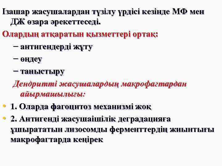 Ізашар жасушалардан түзілу үрдісі кезінде МФ мен ДЖ өзара әрекеттеседі. Олардың атқаратын қызметтері ортақ:
