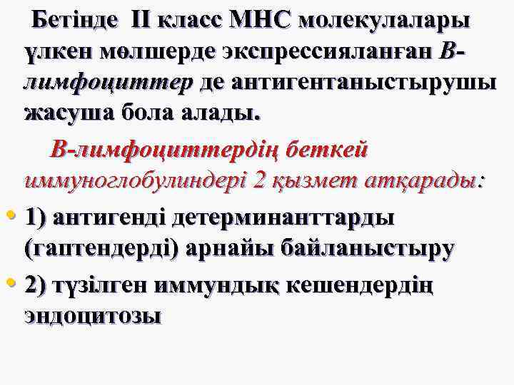 Бетінде II класс МНС молекулалары үлкен мөлшерде экспрессияланған Влимфоциттер де антигентаныстырушы жасуша бола алады.