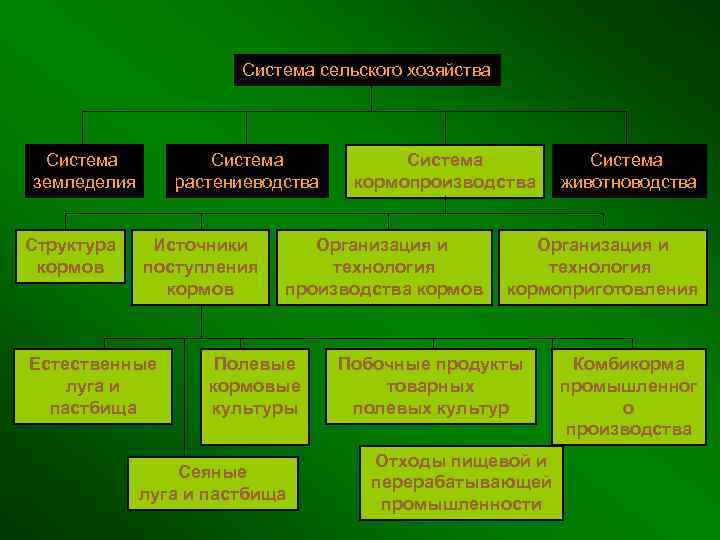 Система сельского хозяйства Система земледелия Структура кормов Система растениеводства Источники поступления кормов Естественные луга