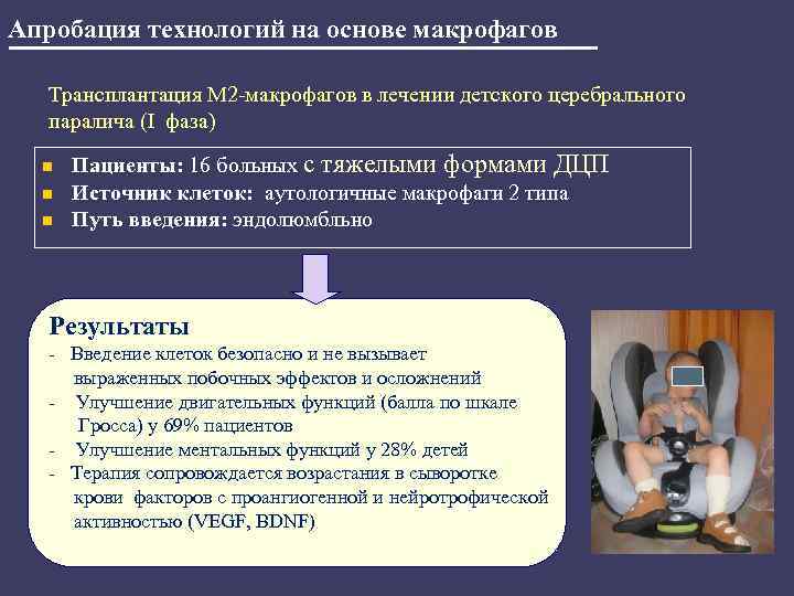 Апробация технологий на основе макрофагов Трансплантация М 2 -макрофагов в лечении детского церебрального паралича