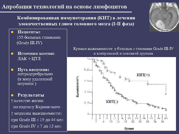 Апробация технологий на основе лимфоцитов Комбинированная иммунотерапия (КИТ) в лечении злокачественных глиом головного мозга