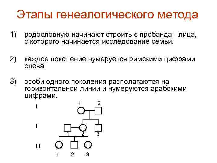 Этапы генеалогического метода 1) родословную начинают строить с пробанда - лица, с которого начинается