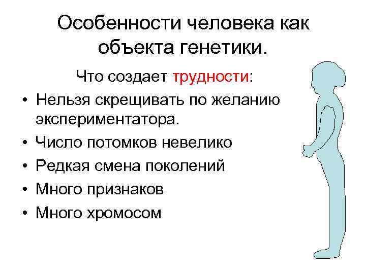 Особенности человека как объекта генетики. • • • Что создает трудности: Нельзя скрещивать по