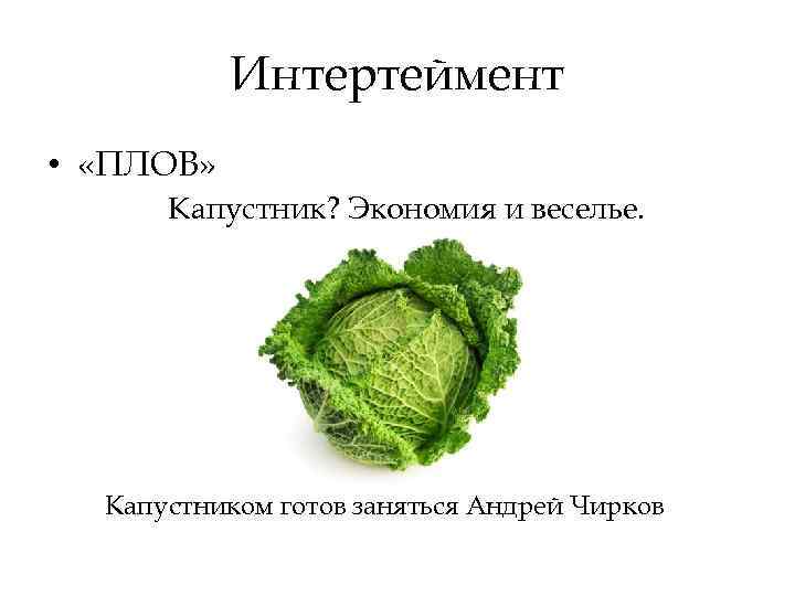 Интертеймент • «ПЛОВ» Капустник? Экономия и веселье. Капустником готов заняться Андрей Чирков 