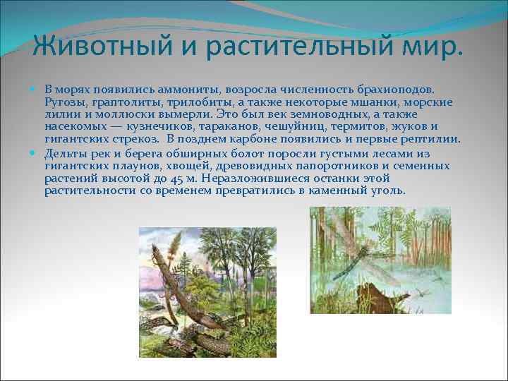 Животный и растительный мир. В морях появились аммониты, возросла численность брахиоподов. Ругозы, граптолиты, трилобиты,
