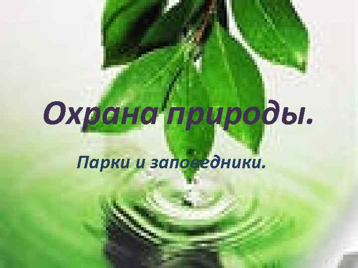 Охрана природы. Парки и заповедники. 