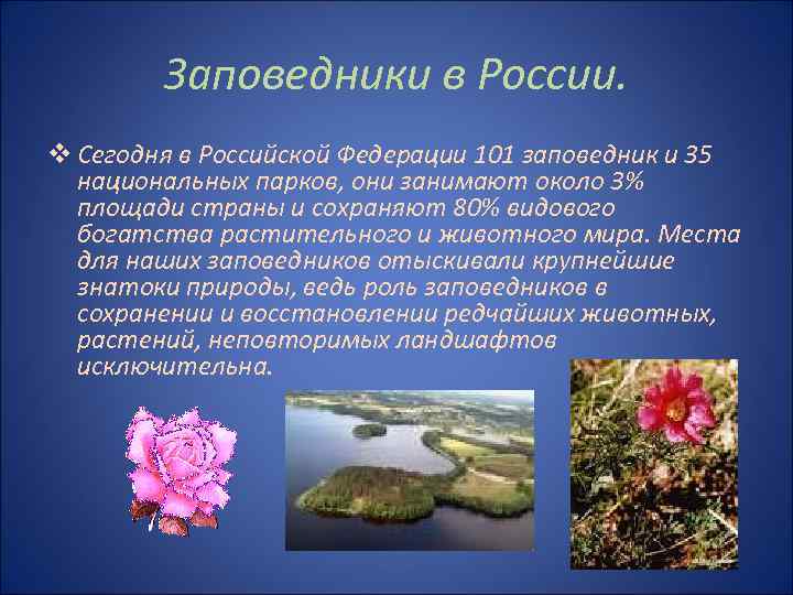 Заповедники в России. v Сегодня в Российской Федерации 101 заповедник и 35 национальных парков,