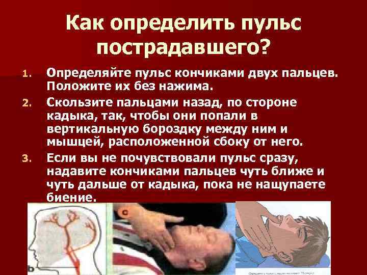 Как определить пульс пострадавшего? 1. 2. 3. Определяйте пульс кончиками двух пальцев. Положите их