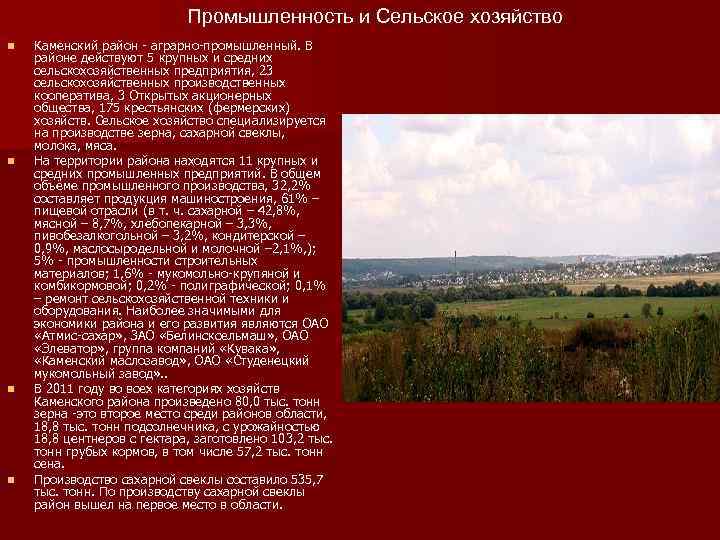 Промышленность и Сельское хозяйство n n Каменский район - аграрно-промышленный. В районе действуют 5