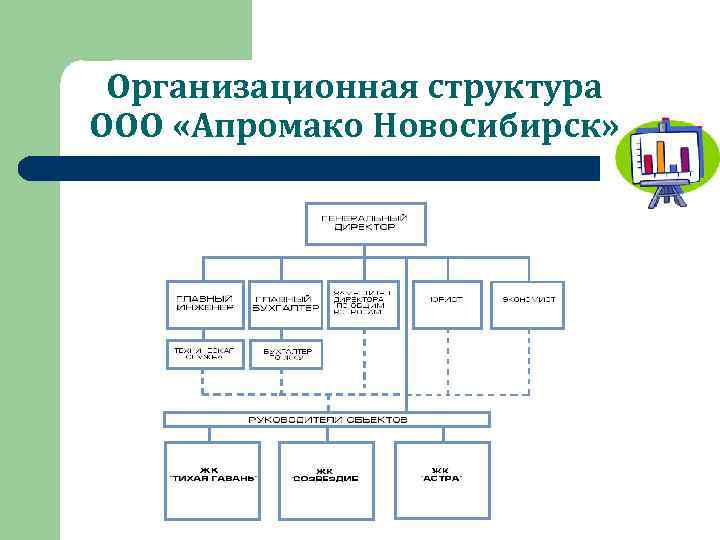 Организационная структура ООО «Апромако Новосибирск» 