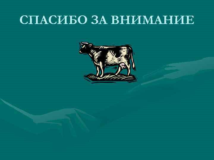 СПАСИБО ЗА ВНИМАНИЕ 