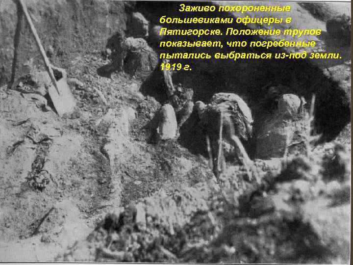Заживо похороненные большевиками офицеры в Пятигорске. Положение трупов показывает, что погребенные пытались выбраться из-под