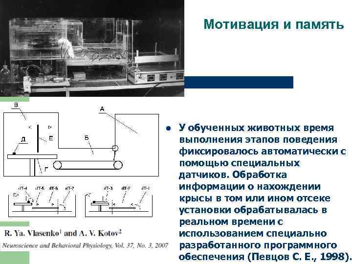 Мотивация и память l У обученных животных время выполнения этапов поведения фиксировалось автоматически с