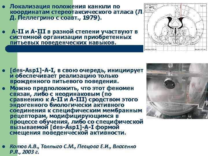 Физиология мотиваций и эмоций презентация