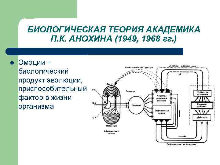 Физиология мотиваций и эмоций презентация