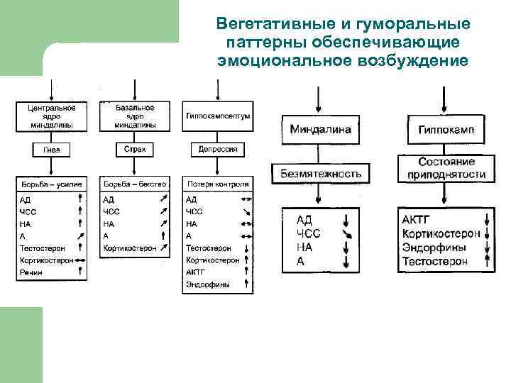 Физиология мотиваций и эмоций презентация