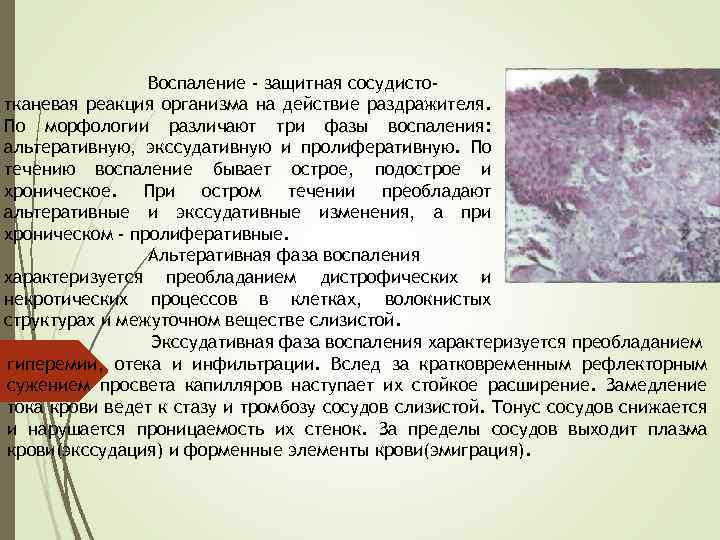 Воспаление - защитная сосудистотканевая реакция организма на действие раздражителя. По морфологии различают три фазы