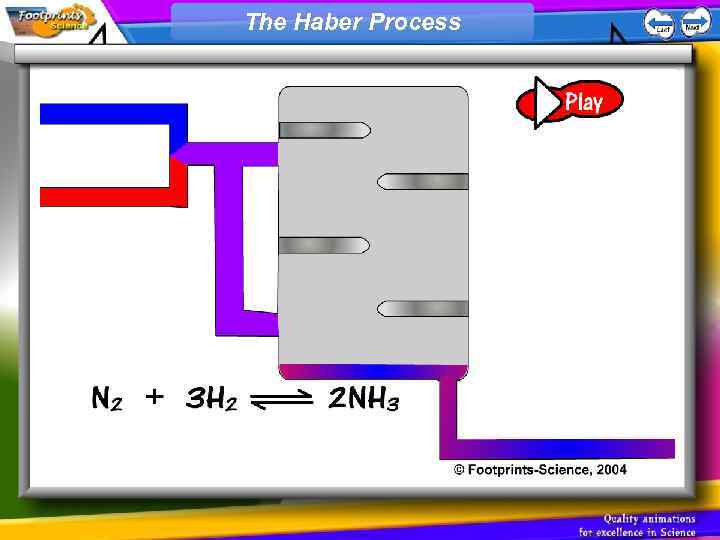 The Haber Process 