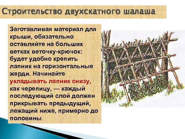 Строительство двухскатного шалаша Заготавливая материал для крыши, обязательно оставляйте на больших ветках веточку-крючок: будет
