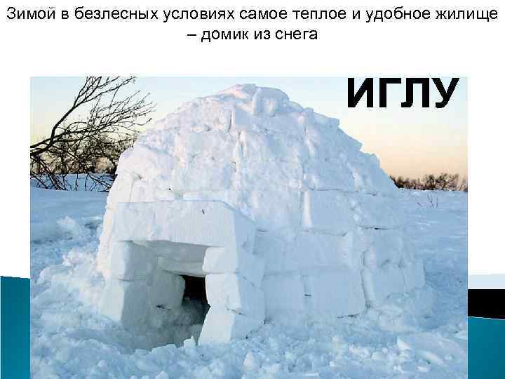 Зимой в безлесных условиях самое теплое и удобное жилище – домик из снега 