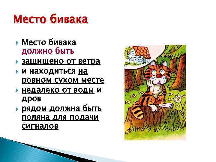 Место бивака должно быть защищено от ветра и находиться на ровном сухом месте недалеко