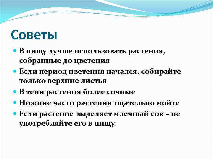 Советы В пищу лучше использовать растения, собранные до цветения Если период цветения начался, собирайте