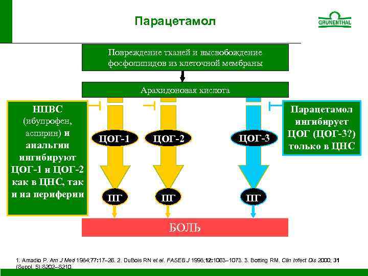 Парацетамол Повреждение тканей и высвобождение фосфолипидов из клеточной мембраны Арахидоновая кислота НПВС (ибупрофен, аспирин)