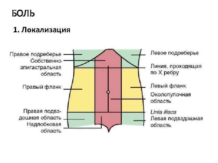 БОЛЬ 1. Локализация 