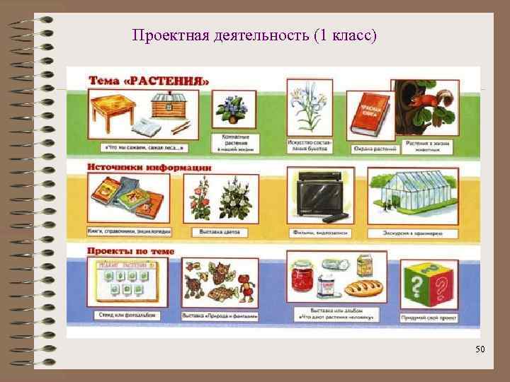 Проектная деятельность (1 класс) 50 