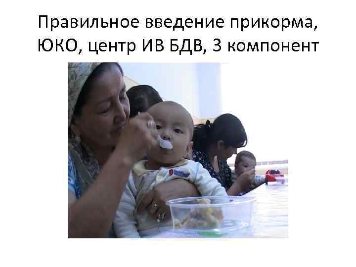 Правильное введение прикорма, ЮКО, центр ИВ БДВ, 3 компонент 