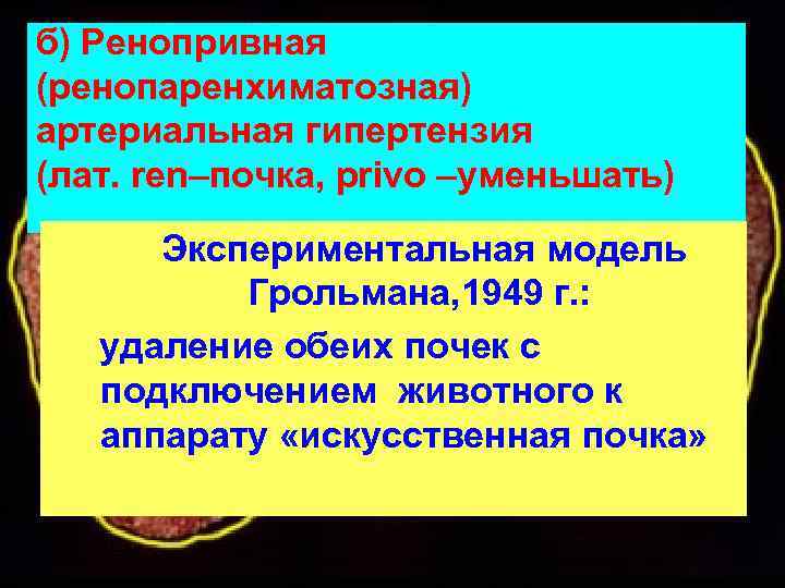 б) Ренопривная (ренопаренхиматозная) артериальная гипертензия (лат. ren–почка, privo –уменьшать) Экспериментальная модель Грольмана, 1949 г.