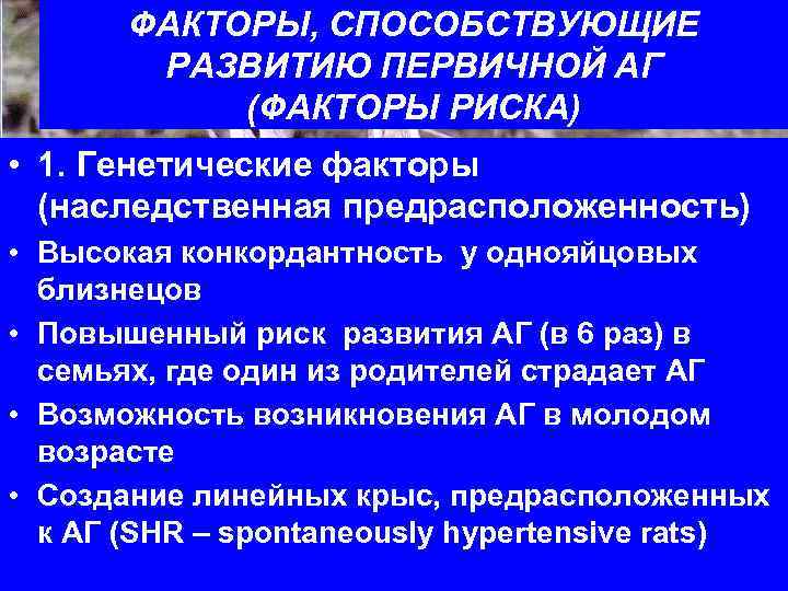 ФАКТОРЫ, СПОСОБСТВУЮЩИЕ РАЗВИТИЮ ПЕРВИЧНОЙ АГ (ФАКТОРЫ РИСКА) • 1. Генетические факторы (наследственная предрасположенность) •