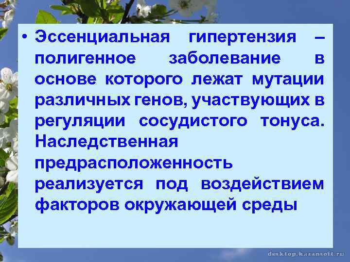  • Эссенциальная гипертензия – полигенное заболевание в основе которого лежат мутации различных генов,