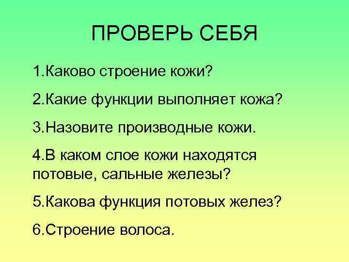 ПРОВЕРЬ СЕБЯ 1. Каково строение кожи? 2. Какие функции выполняет кожа? 3. Назовите производные
