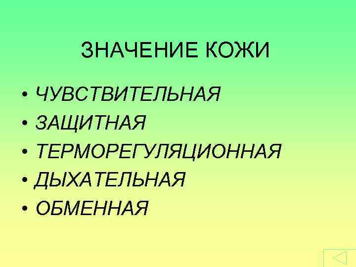 ЗНАЧЕНИЕ КОЖИ • • • ЧУВСТВИТЕЛЬНАЯ ЗАЩИТНАЯ ТЕРМОРЕГУЛЯЦИОННАЯ ДЫХАТЕЛЬНАЯ ОБМЕННАЯ 
