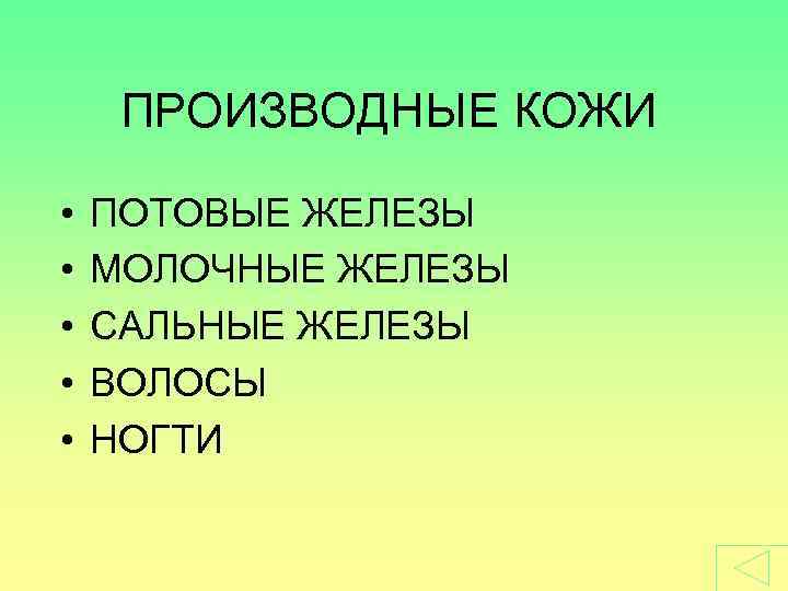 ПРОИЗВОДНЫЕ КОЖИ • • • ПОТОВЫЕ ЖЕЛЕЗЫ МОЛОЧНЫЕ ЖЕЛЕЗЫ САЛЬНЫЕ ЖЕЛЕЗЫ ВОЛОСЫ НОГТИ 